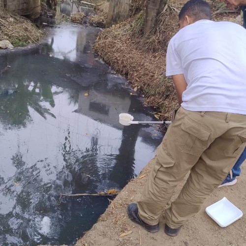 Barra Mansa testa novo larvicida para controle de mosquitos em áreas com água parada